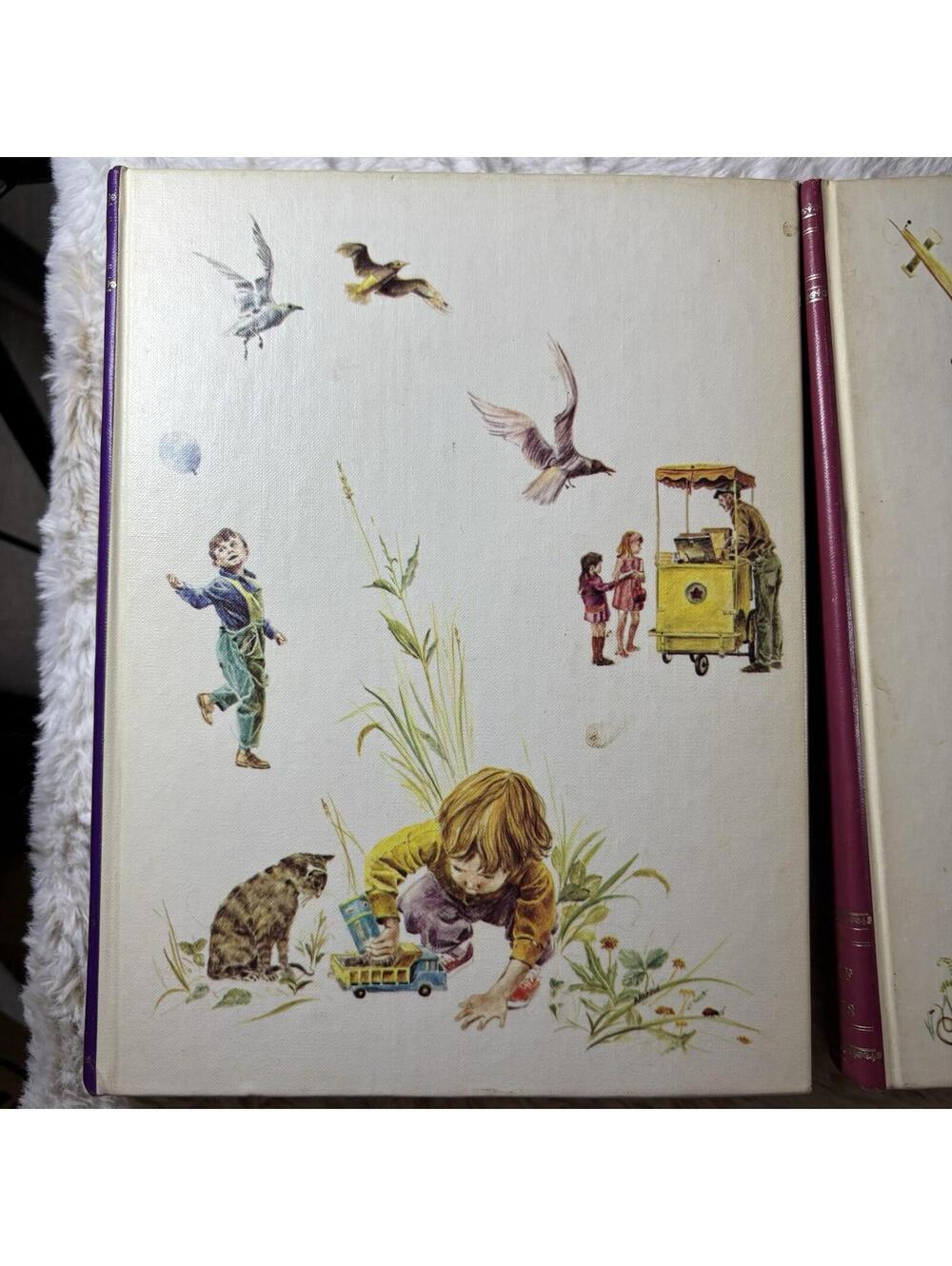 Vintage Bookshelf for Boys & Girls 6 Vol Set 1973 Illustrated HC - Picture 4 of 9